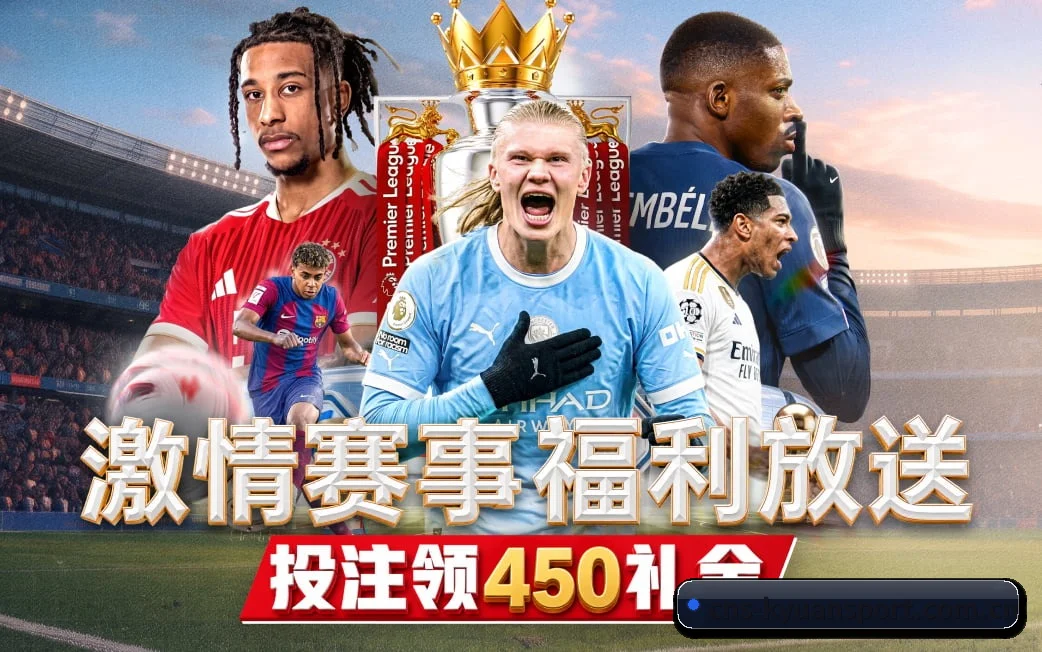 五维频道网格化布局 · 环球体坛电讯按项归仓 - 多运动项目内容板块