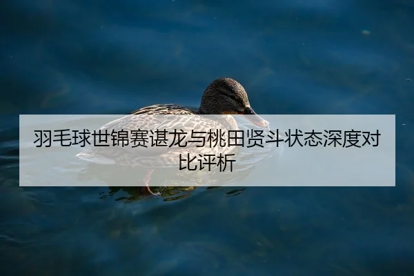 羽毛球世锦赛谌龙与桃田贤斗状态深度对比评析